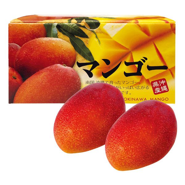 沖縄県産 アップルマンゴー （お届け期間：6/21〜8/15 ) 【夏ギフト・お中元】