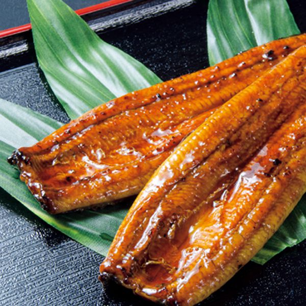 薩摩川内鰻 鹿児島県産 うなぎ蒲焼２尾 【夏ギフト・お中元】